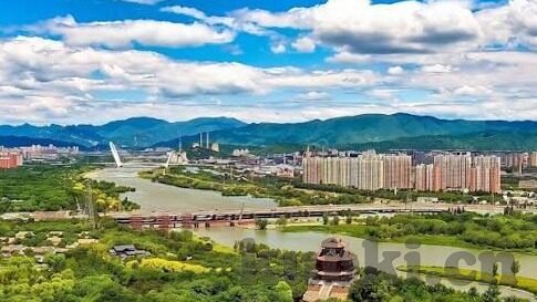 91麻豆在线视频-探寻网络文化的另一面，全面剖析91麻豆在线视频现象