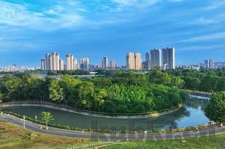 大象传媒河南-大象传媒在河南，文化传播的桥梁与地方发展的新动力