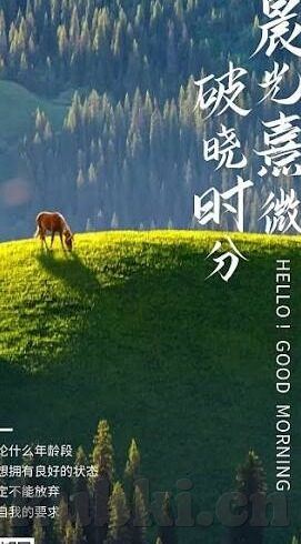 国产麻豆亚洲av片在线观看-