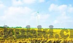 糖心app下载汅免费soi-体验生活的多样化——从汅非免费soi到日常应用程序的选择